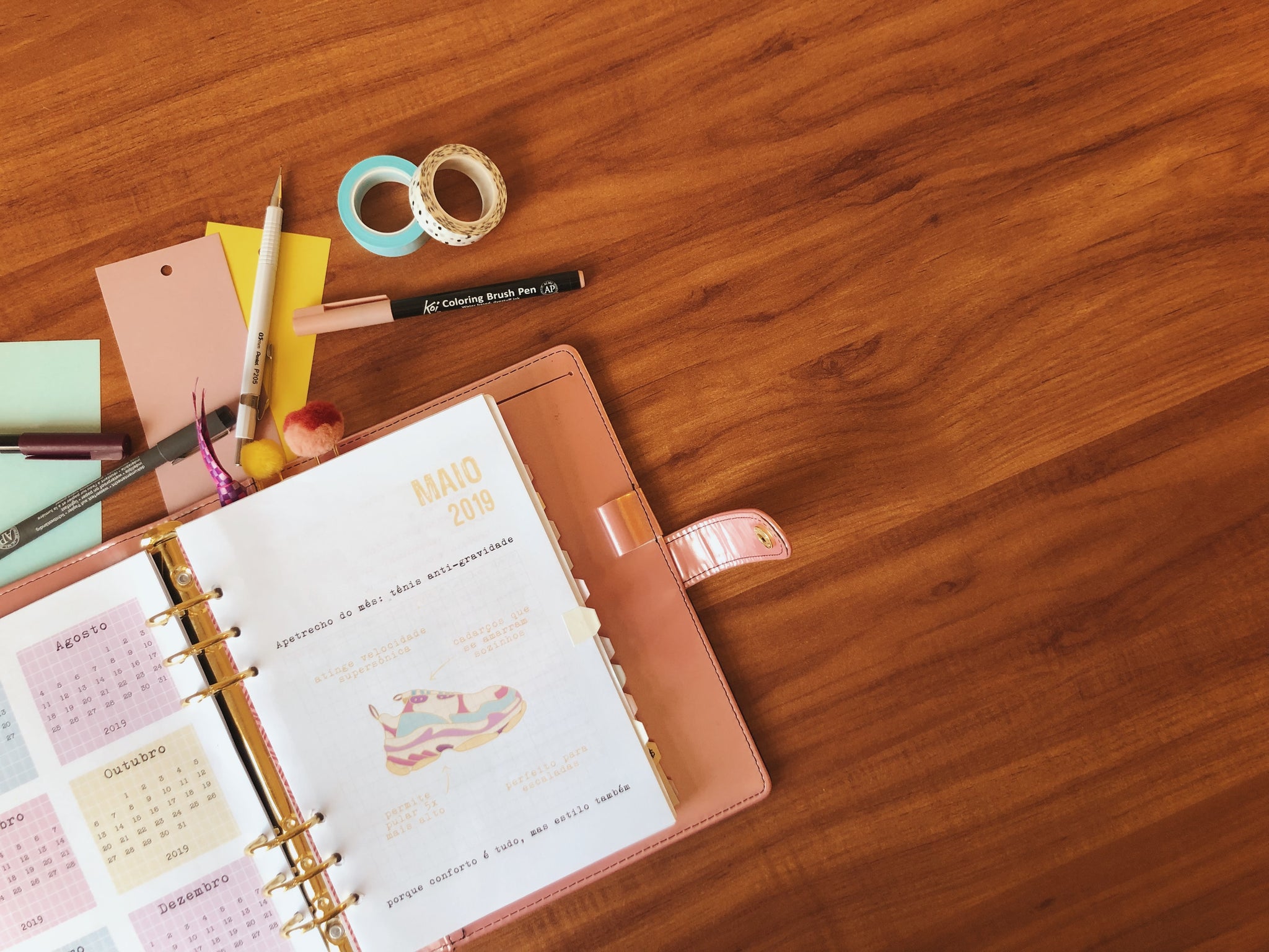 Se organizando com um Planner